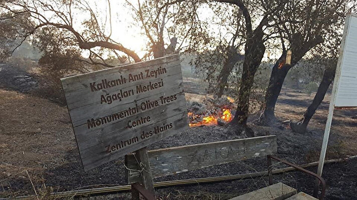 KKTC Polisi tarafından yangınla ilgili yapılan açıklamada, “Yangın kontrol altında" derken, KKTC Orman Tarım ve Orman Bakanı Dursun Oğuz " Türkiye helikopter göndermeseydi.Felaket daha da büyüyecekti" dedi.