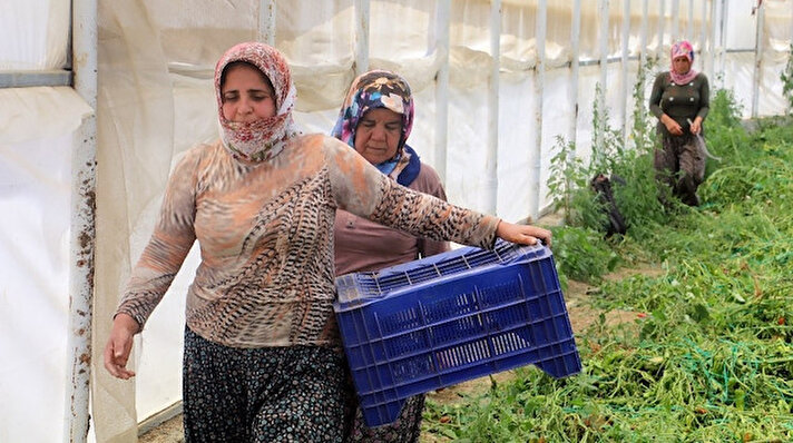 Korona virüs (Covid-19) salgını sonrası sokağa çıkma gibi kısıtlamalardan muaf tutulan çiftçiler, Türkiye’nin sebze ve meyve ihtiyacını karşılamaya bayramda da devam ediyor. 
