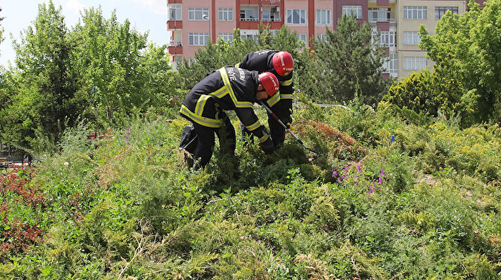 Kayseri Büyükşehir Belediyesi İtfaiye Daire Başkanlığı bünyesinde, yaklaşık 7 yıl önce 'Yılan Yakalama Timi' kuruldu. 