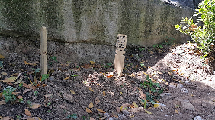 Bursa'da Yıldırım ilçesi Emirsultan Mezarlığı'ndaki görevliler, ‘Efe Yalçın’ isminde yeni bir bebek mezarı olduğunu fark etti.