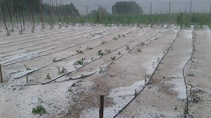 Taşova’ya bağlı Destek, Dereli, Karamuk ve Boraboy köylerinde etkili olan dolu yağışı tarım alanlarına zarar verdi. 