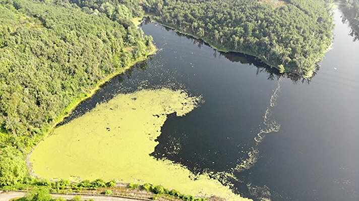 
İstanbul'a su sağlayan önemli kaynaklardan biri olan Elmalı barajının üzerinde oluşan yeşil tabaka dikkat çekerken, bölge halkında tedirginliğe neden oldu.