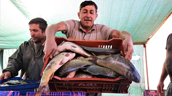 Manisa’nın Köprübaşı, Demirci ve Salihli ilçeleri sınırları içerisinde yer alan Demirköprü Barajı’nda balıkçılar 15 Haziran’da başlayan sezona “Vira bismillah” dedi. Sezondan umutlu olan balıkçılar, yeniden ava çıkmanın heyecanını yaşadı. 

