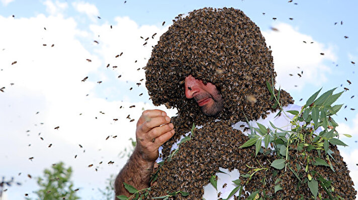 Van'da yaşayan ve çocukluğundan beri baba mesleği olan arıcılıkla uğraşan 'Arı Adam' lakablı Abdulvahap Semo, üzerinde en fazla arı toplayarak 63 kiloyla Guinness Rekorlar Kitabı'na giren Çinli Ruan Lianming'ın rekorunu kırmak için çalışıyor. 