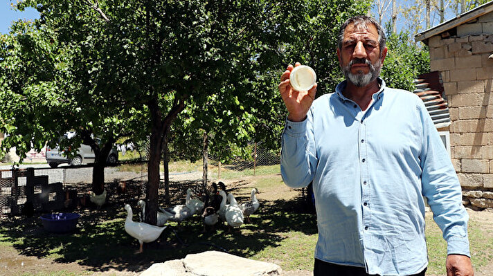 Van Tuşba'ya bağlı Tabanlı Mahallesi'nde yaşayan Ömer ve Bilal Kasap kardeşler, 2 yıl önce Fransa’dan kaz yumurtası aldı. 