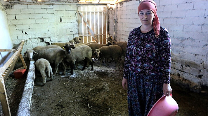 Bursa’nın Yenişehir ilçesi Orhaniye Mahallesi’ne yerleşen çifte vatandaş Zamira Ağalıgil, çocukluk hayali olan çiftçilik mesleğini sürdürüyor. Her gün küçükbaş hayvanları ve tarlaları ile ilgilenen Zamira Ağalıgil, iki üniversite mezunu ve 4 dil konuşabiliyor.