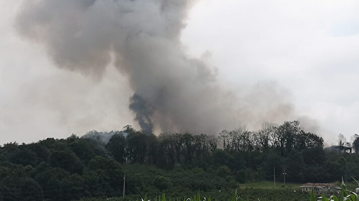 Hendek'te, havai fişek fabrikasında patlama meydana geldi. Patlamanın ardından fabrikanın bulunduğu bölgeden gökyüzüne dumanlar yükseldi.