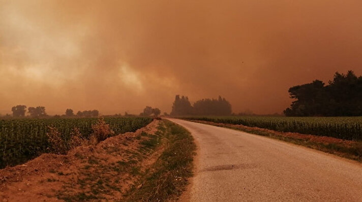 Tarihi Gelibolu Yarımadası'nda Ilgardere köyü yakınındaki ormanlık alanda henüz belirlenemeyen nedenle yangın başladı. 
