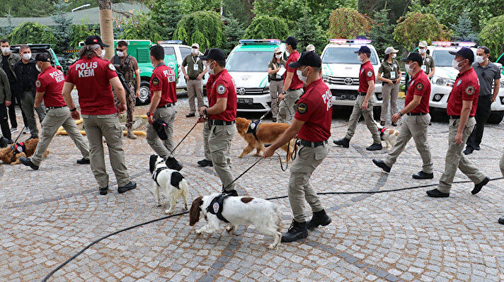 İçişleri Bakanı Süleyman Soylu'nun talimatı üzerine hayvan haklarının korunması için emniyette Çevre, Doğa ve Hayvanları Koruma Şube Müdürlüğü, jandarmada ise Çevre, Doğa ve Hayvanları Koruma Timi oluşturuldu. 8-10 Haziran tarihleri arasında Ankara'da düzenlenen Çevre, Doğa ve Hayvanları Koruma Polisi Temel Eğitim Kursu'nda eğitim alan 260 polis, hafta sonu 81 ilde göreve başlayacak.