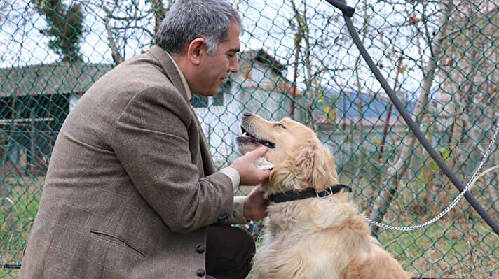 Gelemen Mesleki ve Teknik Anadolu Lisesi'nde görevli veteriner hekim Tuncay Eker tarafından 2017 yılında 'Erken teşhiste biodedektör köpekler' projesi hazırlandı. Proje kapsamında, hastanın nefesini, derisini, idrarını ya da dışkısını koklayarak kanser teşhisini yapabilecek köpekler yetiştirilmesi amaçlanıyor. 