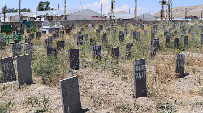 Van Gölü'nde, 27 Haziran'da, içinde 60 kaçak olduğu tahmin edilen teknenin battığı yerin tespit edilmesinin ardından yapılan çalışmalarla 33 kaçak göçmenin cansız bedenine ulaşıldı. Çıkarılan cesetler, otopsi işlemleri için Van Adli Tıp Kurumuna götürülüyor. Otopsileri tamamlanan göçmenlerden 17'sinin cenazeleri kentteki Yeni ve Seyrantepe mahallelerinde bulunan kimsesizler mezarlığında toprağa verildi. 