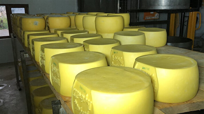 Kars'ın 2400 rakımlı Boğatepe köyünde yaşayan dördüncü kuşak peynir ustası İlhan Koçulu, mandırasında ürettiği gravyer ve Kars kaşarıyla peynirciliği bilimsel bir düzeye getirdi.