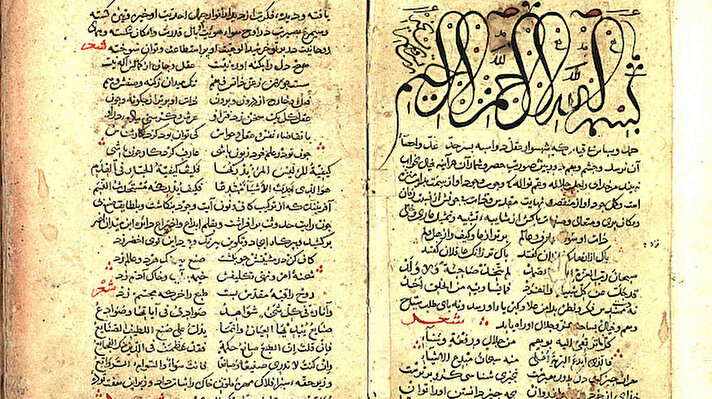 Ayasofya Kütüphanesinde bulunan bazı yazma eserlerin ciltlerindeki mevcut şemse örnekleri.
