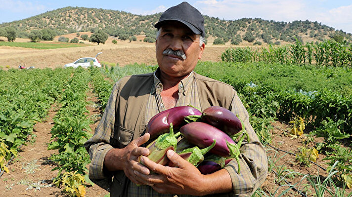 Hocalar ilçesine bağlı 100 haneli, 600 nüfusa sahip Güre köyü sakinleri asırlar önce başladıkları atalarından kalan tohumlar ile patlıcan üretimine devam ediyor. 