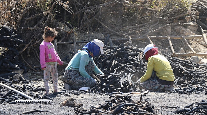 Mardin’den Erzincan’a gelen Temel ailesi, çadırlarda konaklayıp kestikleri meşe odunlarından ateş, duman ve kavurucu sıcağın altında gün boyu ter dökerek mangal kömürü üretiyor. 