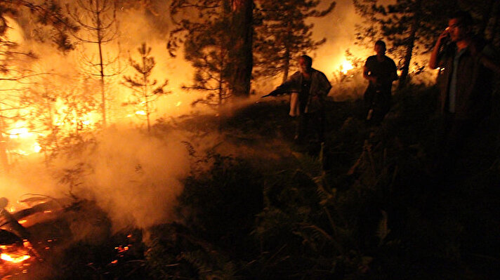 Kastamonu'nun Taşköprü ilçesindeki orman yangınına müdahale ediliyor.