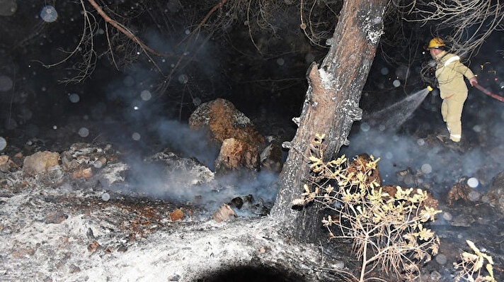 Muğla'nın Ula ilçesinde seyir halindeyken alev alan otomobilde çıkan yangının ormana sıçraması sonucu yaklaşık 5 hektar ağaçlık alan zarar gördü.