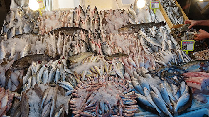 Mersin'de 15 Eylül itibariyle av yasağının kalkmasıyla balık pazarında tezgahlar çeşit çeşit balıkla doldu. Pazarda balık bolluğu nedeniyle fiyatların düşmesi hem satıcının hem de alıcının yüzünü güldürdü. Yüzde 80'e varan düşüşün yaşandığı pazarda, balığa rağbet arttı.
