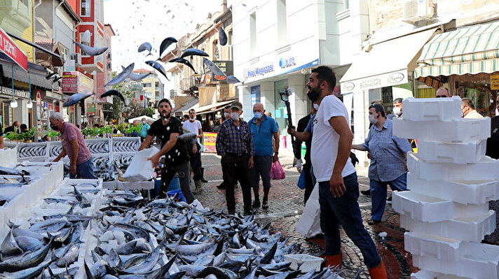 Kırklareli'nin Karadeniz kıyısı bulunan Demirköy ilçesine bağlı İğneada beldesinde balıkçıların avladığı palamuttaki bolluk, Edirne'de balıkçı tezgahlarına da yansıdı. Sabah erken saatlerinde tezgahları dolduran palamutlar tanesi 10 liradan satılırken, bazı vatandaşlar ise balığın taze olması nedeniyle kasa ile alışveriş yaptı.