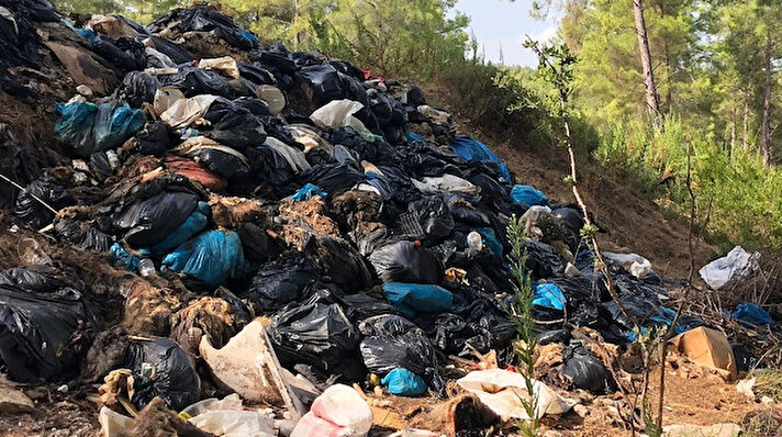 Yeniköy Muhtarı Abdullah Zeki Kavuklu, Yeniköy Kepez mevkiindeki ormanlık alanda poşetler içerisinde atılan atıkların köpek ve yabani hayvanlar tarafından parçalandığını söyledi. 