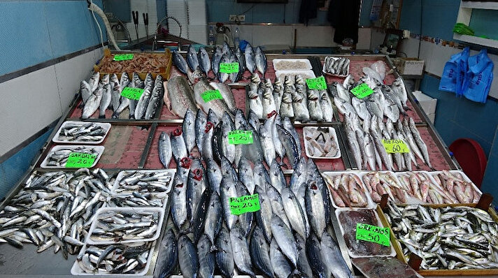 Boğaza kıyısı olan Çanakkale’de en önemli geçim kaynaklarından biri olan balıkçılık, 1 Eylül itibariyle bereketli günler yaşıyor. Ancak, geçtiğimiz hafta tanesi 15 liradan satışa sunulan palamut bugün itibariyle 10 lira artarak, 25 liradan satılıyor.