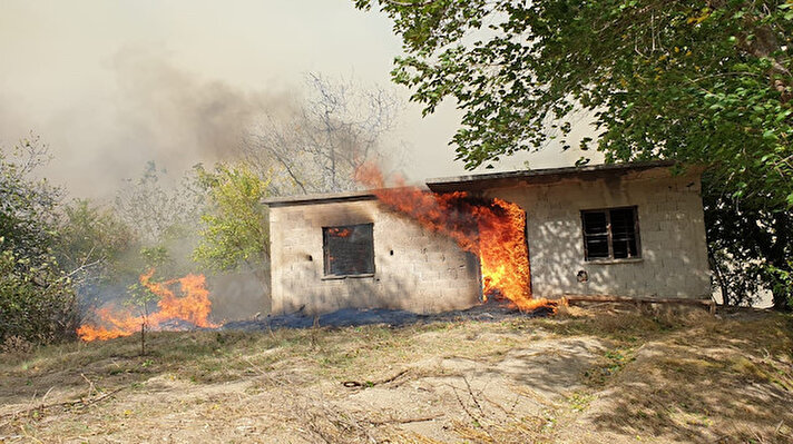 Yangın, Kadirli ilçesi Yukarıçiyanlı köyü Halepli Dere mevkisinde, saat 14.00 sıralarında ormanlık alanda çıktı. 