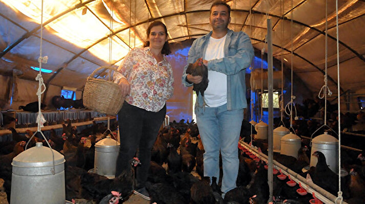 Koçarlı'da yaşayan Havva Girişken ve kardeşi Zülfikar İşlek, 6 yıl önce kendi bahçelerinde hobi olarak 3 tavuk yetiştirmeye başladı. 