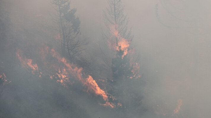 Kastamonu’da bin 450 rakımlı Yaralıgöz Dağı’nın eteklerinde Çatalzeytin ilçesine bağlı Sırakonak köyü Gürcüdere mevkisinde 4 gün önce ormanlık alanda henüz belirlenemeyen bir nedenle yangın çıktı. 