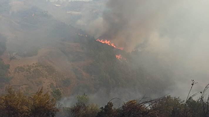 ​Antalya'nın Gazipaşa ilçesi sınırı yakınlarındaki Anamur ilçesinin kırsal Uçarı Mahallesi’ndeki ormanlık alanda, dün saat 11.30 sıralarında bilinmeyen nedenle yangın çıktı. 