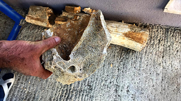 Edirne'nin Büyükdöllük köyündeki kum ocağında 8 milyon yıllık olduğu belirlenen mamutlara ait kemik fosilleri bulundu. 