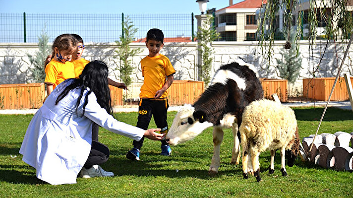 Konya'da faaliyet gösteren bir anaokulunun öğrencileri at, ceylan, kuş, kuzu, buzağı ve köpeklerle aynı ortamda eğitim alıyor. Alışılmışın dışında bir konsept belirleyen anaokulunda öğrenciler, okula her gün bir hayvanat bahçesini ya da çiftliği gezmeye gider gibi hareket ediyor.