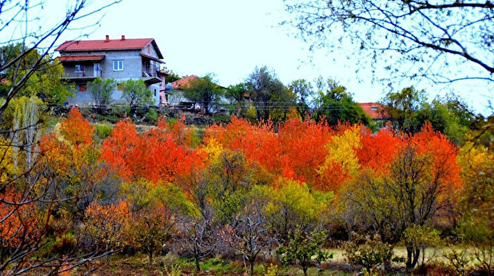 Isparta'nın Uluborlu ilçesi, sonbahar mevsimini dolu dolu yaşarken, kırmızıdan sarıya kadar hem kaldırımları, hem de bahçeleri renk cümbüşüne dönüştü. 
