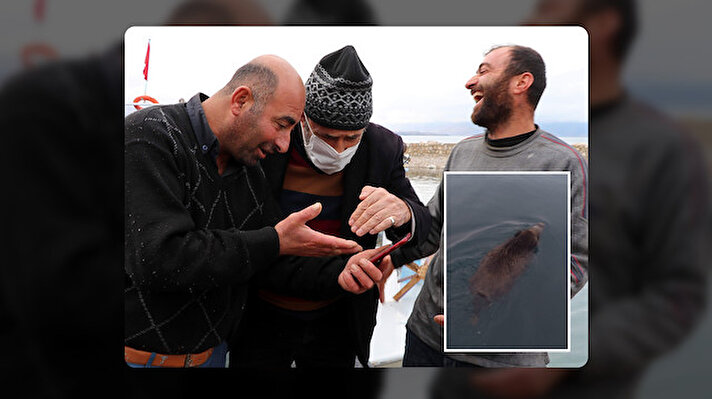 Bu anı kaydetmek için cep telefonlarına sarılan balıkçılar, göldeki hareket eden cismi cep telefonu kamerasıyla çekip sosyal medyada paylaştı. Heyecanlarını saklayamayan balıkçılar, çektikleri görüntüdeki canlının domuz olduğunu fark etti. 
