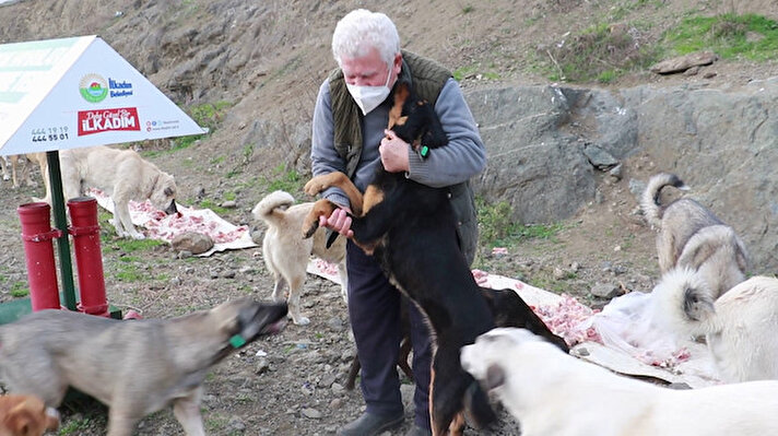 Samsun'da 42 yıl görev yaptıktan sonra emekli olan Biyoloji Öğretmeni Fevzi Uyar, kendini sokak hayvanlarına adadı. 
