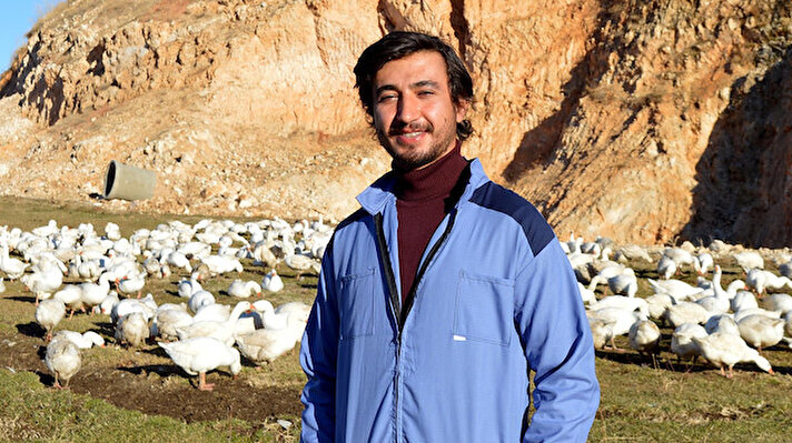 Ankara Üniversitesi Siyasal Bilgiler Fakültesi mezunu Cihat Çiftçi, merak saldığı kaz yetiştiriciliğine 30 kaz ile başladı. 