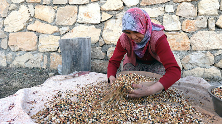Türklere özgü, tahıldan yapılan geleneksel ve yöresel bir kuruyemiş türü olan kavurga, Mersin'in Gülnar ilçesinde çeşitli tohumların buğday tanelerine karıştırılarak kavrulması ile yapılmaya devam ediliyor.