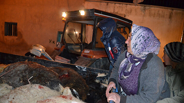 Kaza, saat 19.00 sıralarında Kargın köyü çıkışında meydana geldi. Turan Demirtaş'ın kullandığı 68 ABU 754 plakalı otomobil, iddiaya göre yola aniden çıkan koyun sürüsüne çarptı. Kazada sürücü Demirtaş ve yanındaki Ramazan Uguz yaralandı. Çevredekilerini habrı üzerine olay yerine sağlık ve polis ekipleri sevk edildi. Sağlık görevlilerince yapılan ilk müdahalenin ardından 2 yaralı, Aksaray Eğitim ve Araştırma Hastanesine kaldırıldı.