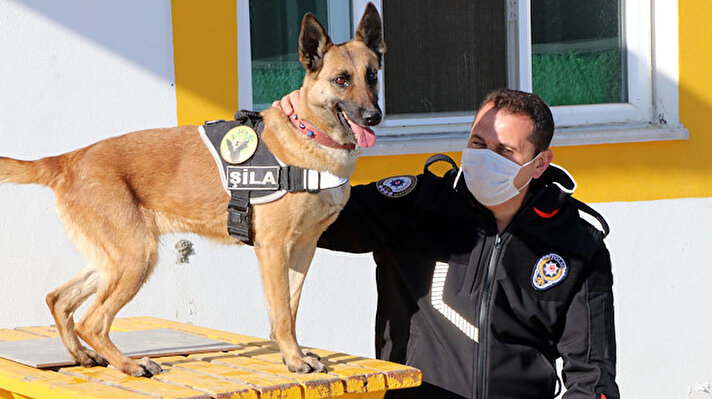 Uyuşturucu sevkiyatının en önemli geçiş noktalarından Van'da polis ekipleri, operasyonlarını gece gündüz sürdürürken, en büyük yardımcıları da hassas burunlu köpekler oluyor.  