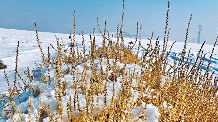 Türkiye’de kışın en sert geçtiği illerden biri olan Ağrı’da dondurucu soğuklar etkisini sürdürmeye devam ediyor. 