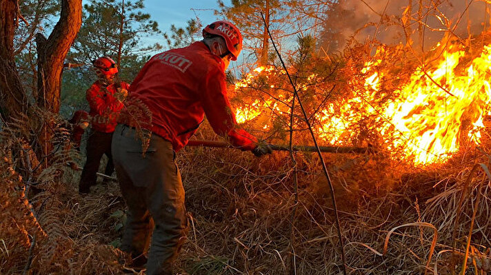 Doğu Karadeniz’de son günlerde hava sıcaklıklarının mevsim normallerinin üzerinde seyretmesi ile bahçelerde yakılan anız ateşleri örtü ve orman yangınlarına neden oldu. 