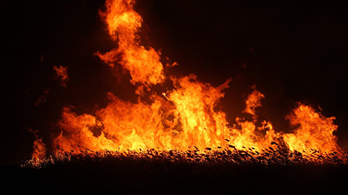 Edinilen bilgiye göre, gölün Üstünler Mahallesi kıyısında bulunan sazlık alanda henüz belirlenemeyen nedenle yangın çıktı.

