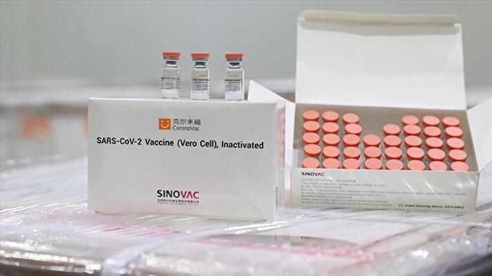 Sinovac'ın Brezilya'da Kovid-19 aşısı deneyleri ve üretimi için iş birliği yaptığı Butantan Enstitüsü Faz-3 sonuçlarında elde ettikleri verileri paylaştı.