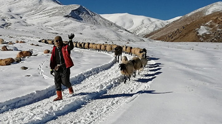 Van'da yüksek kesimlere kar yağması ve havaların soğumaya başlamasıyla çobanların da çalışma sezonu sona erdi. 