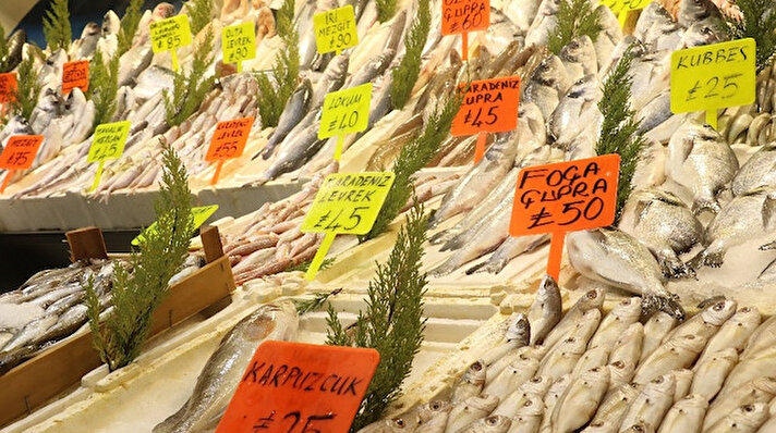Hamsiye gelen av yasağının 7 Şubat'a kadar uzatılması tezgahtaki balıkların fiyatının artmasına sebep oldu. Yasaktan dolayı dondurulmuş hamsilerle dolan tezgahlarda Antalyalı vatandaşların tercihi sardalya, kupes ve karpuzcuktan yana oldu. Artan balık fiyatlarının karşısında 10 liraya alıcı bulan gümüş balığı ise her bütçeye hitap ediyor.