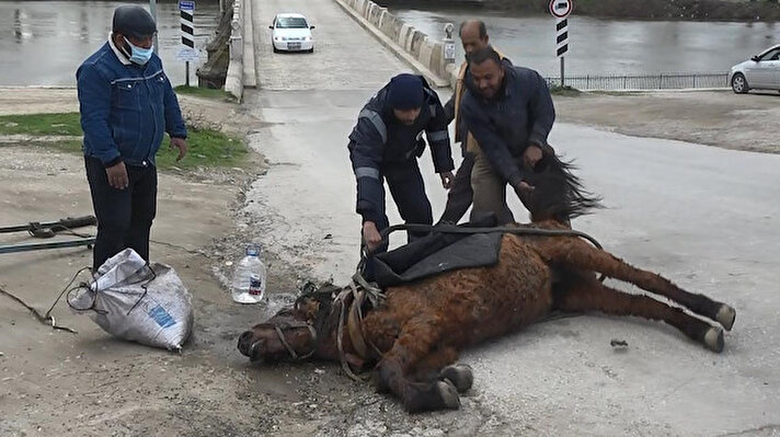 Edirne'de halk arasında 'talika' adı verilen at arabasıyla yük taşıyan bir at, Tunca Nehri yakınlarında aşırı yükün ağırlığı ile yorgunluğa dayanamayarak yere yığıldı. İsmi öğrenilemeyen sahibi de çevredekiler ile birlikte atı ayağa kaldırmak için çaba harcadı. 