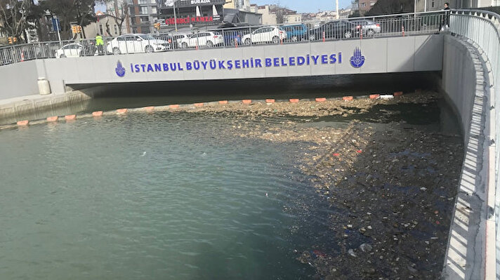 Kurbağalıdere'de geçen yıl temizlik çalışmaları yapılmış Ekim ayında İstanbul Büyükşehir Belediye Başkanı (İBB) Ekrem İmamoğlu, derede balıkların yüzdüğü berrak su görüntüsü paylaşmıştı. Ancak Kurbağalıdere'nin suyu tekrar bulanıklaştı, derenin üzerinde çöp adacıkları oluştu.
