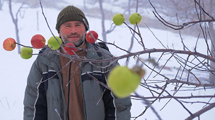 Taşkent ilçesi Balcılar Mahallesi'nde yaşayan Hasan Hüseyin Kahriman, Orta Toroslar'da kış mevsiminin zorlu geçtiği bölgelerde kuru ağaç dallarına elmalar takarak yaban hayatında yiyecek arayan hayvanların karnını doyuruyor. 