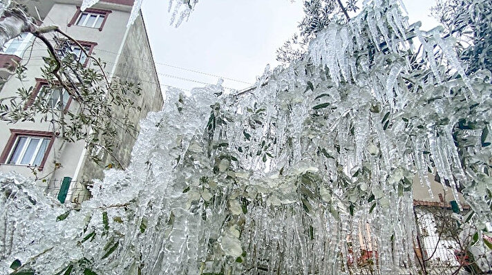 Bursa’nın Karacabey ilçesinde dün gece saatlerinde hava sıcaklığı sıfırın altında 7 dereceye kadar düştü. 