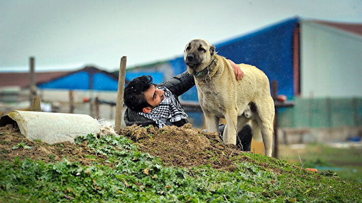Hayvancılık yaparak hayatını sürdüren Ferzan Maral, ailesiyle birlikte 1999 yıllında Diyarbakır'dan Bursa'ya göç etti. Maral'a, dedesi, Karabaş isimli bir köpek hediye etti. Köpeğin yavrularından biri, kardeşi su kuyusuna düşünce havlayarak Ferzan Maral'dan yardım istedi. Maral, koşarak gittiği kuyudan köpeği kurtardı ardından da yardım isteyen yavruya 'Cınavır' adını verdi.Cınavır 2 yaşına geldiğinde ise Maral'ın kardeşi Muhammet Maral, küçükbaş hayvan sürüsünün peşinden giderken bataklığa saplandı. Cınavır, bataklıktan kardeş Maral'ı kurtardı. Ancak Cınavır, geçtiğimiz yıl hastalığa bağlı öldü. Ferzan Maral, her gün Cınavır'ın mezarını ziyaret edip, gözyaşı döküyor. Çektiği videoları sosyal medya hesabından paylaşan Ferzan Maral, "Hayvancılık işi bizde dede mesleği. Altı yaşlarındayken dedem bana bir köpek verdi. 