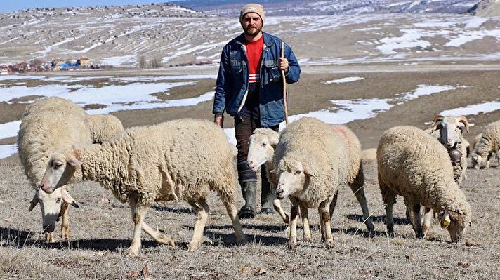 Eskişehir'de 2019 yılında stajını bitirip avukatlık ruhsatını alan 26 yaşındaki Kadir Çelik, mesleğini yapmak yerine çok sevdiği hayvanlarının peşinde çoban olmayı tercih etti.